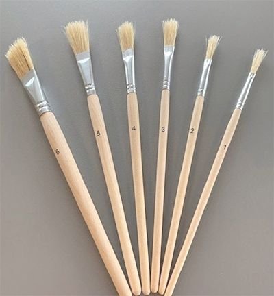 Bristle Brush Set - 6 Verschillende Penselen