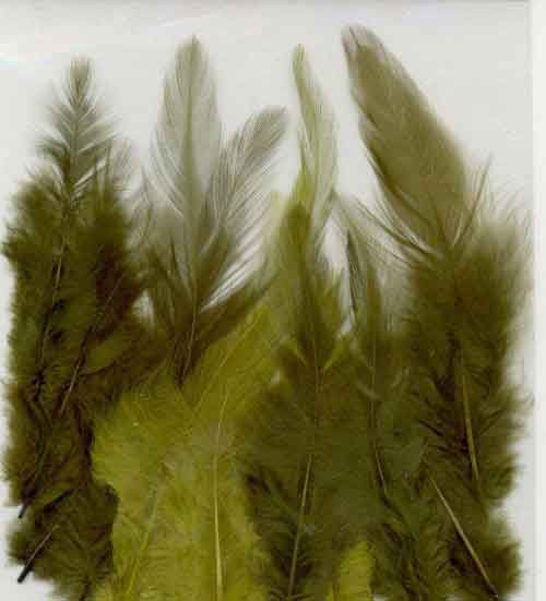 Feathers - Green - 9-15cm - 15pcs