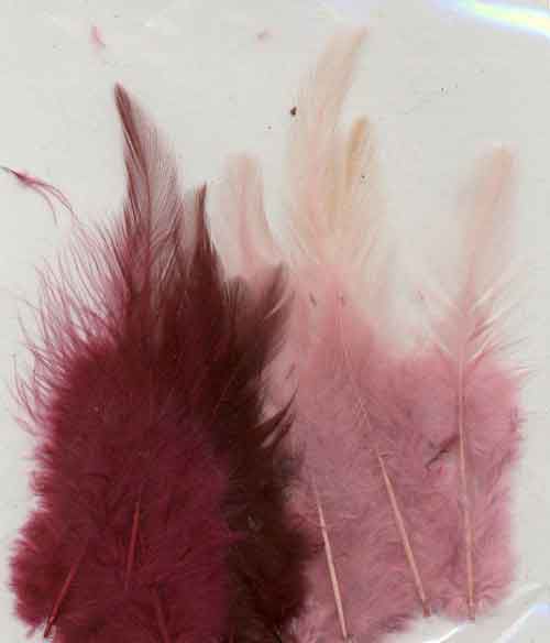 Feathers - Wine - 9-15cm - 15pcs