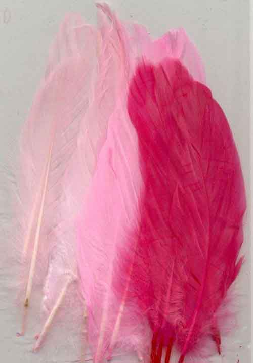 Feathers - Pink - 12,5-17,5cm - 15pcs