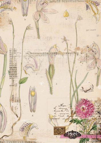 Romantic Botanic - Papier de fond recto verso A4